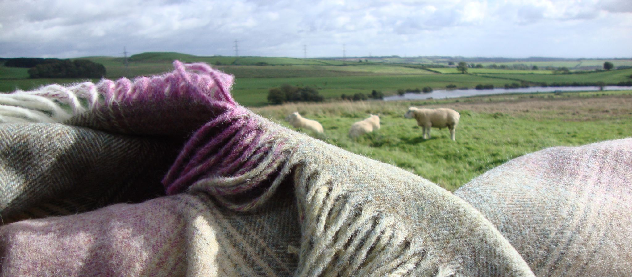 Sheep in a field with a view of a Scottish Loch and hills, with a close-up of textured Shetland wool blanket in the foreground. Emphasising wool and the environment. 