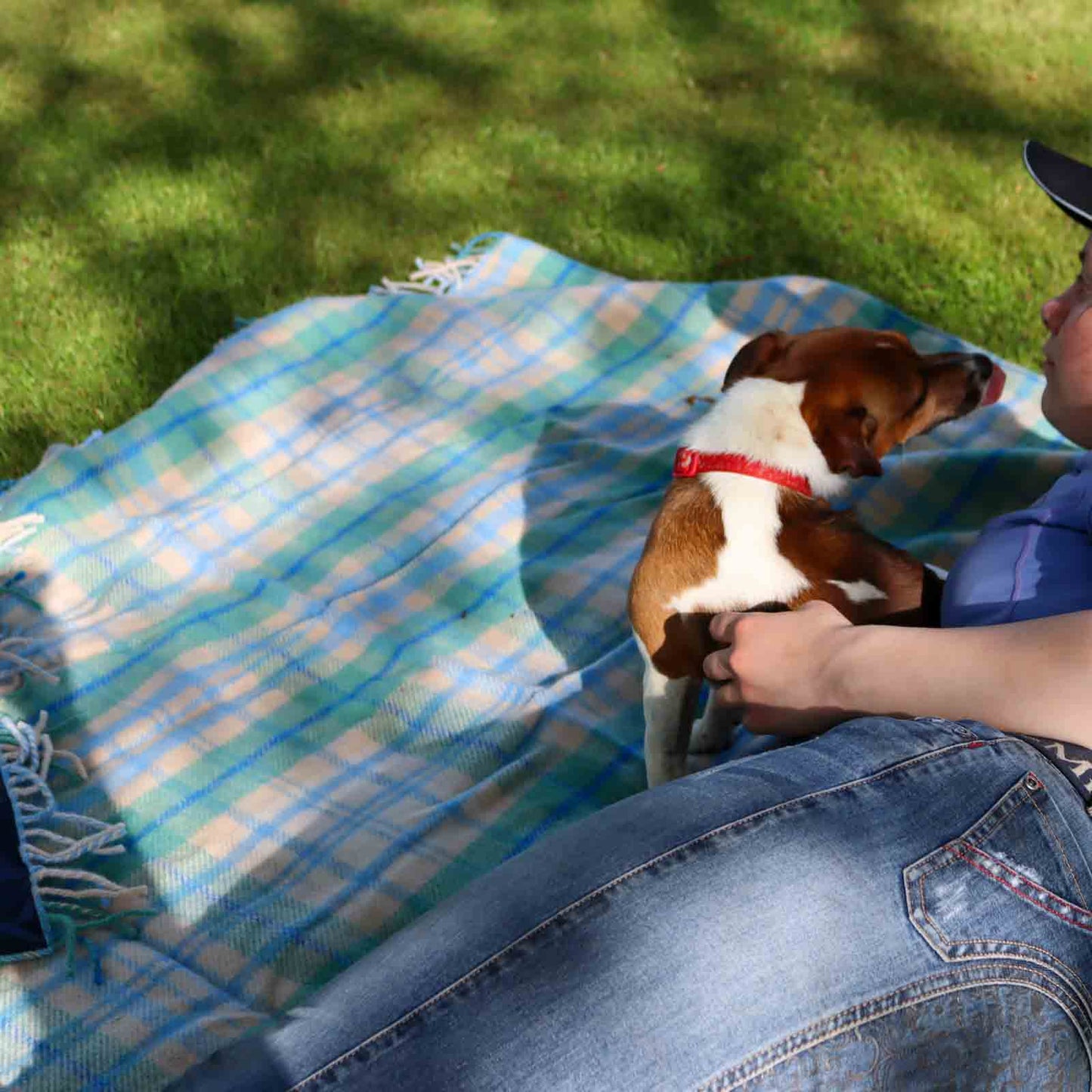 Person sitting on a Luxury blue cottage check wool picnic blanket with carry straps with a dog outdoors