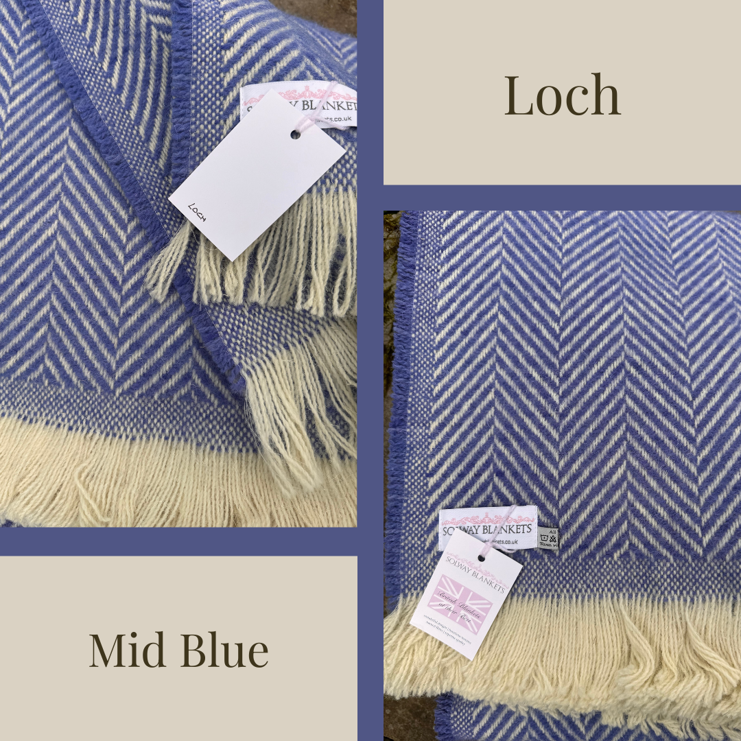 Chevron Assorted Recycled All Wool Rugs
