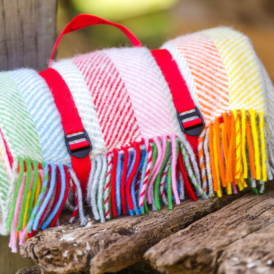 Multicoloured rainbow striped waterproof backed picnic blanket rolled up with red webbing straps, fringes on a wooden surface
