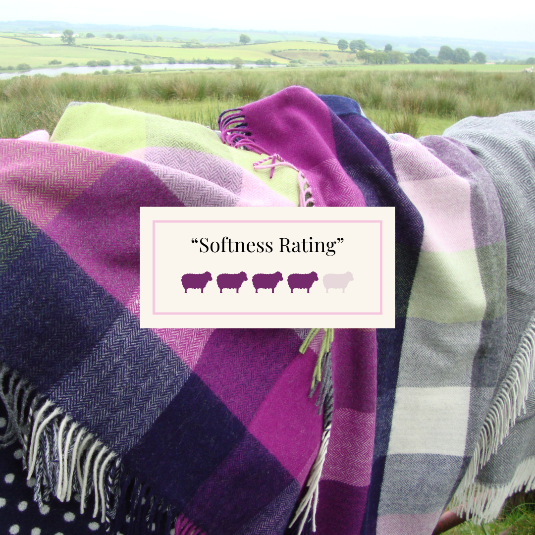 Comfortable soft lambswool blanket with purple and green green, rating four on softness scale