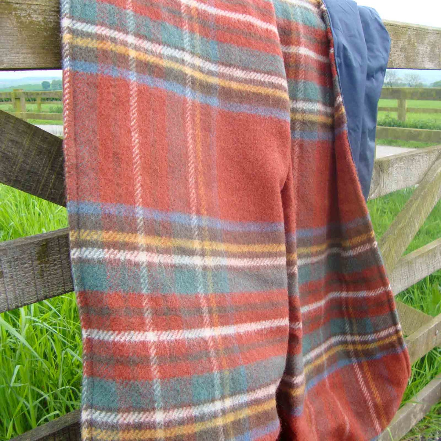 Antique Royal Stewart Waterproof Picnic Blanket