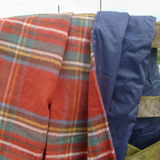 Antique Royal Stewart Waterproof Picnic Blanket