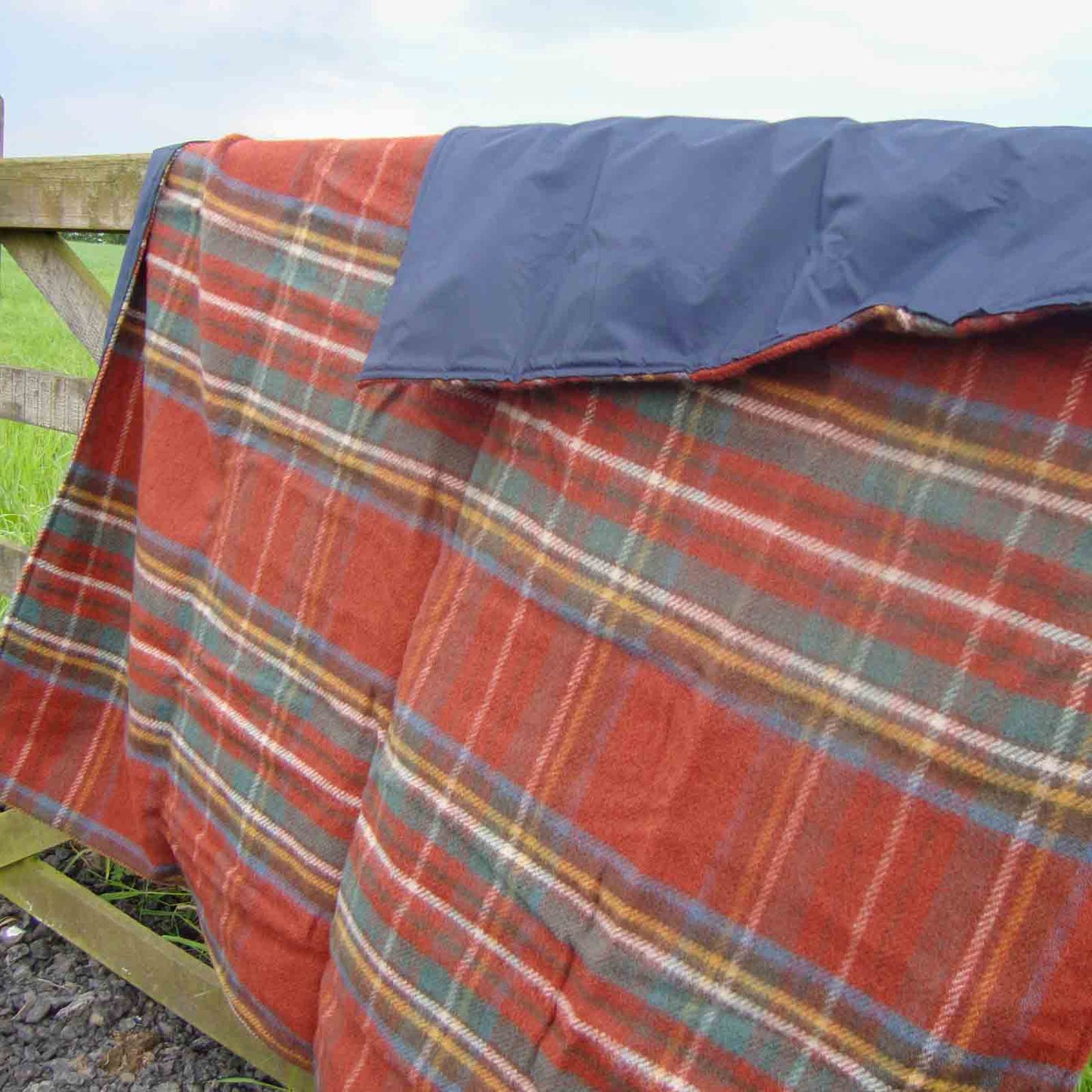 Antique Royal Stewart Waterproof Picnic Blanket