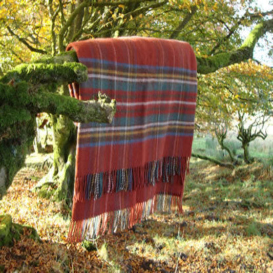 Antique Royal Stewart Tartan Plaid blanket, in muted russet browns, draped over a tree branch in a forest setting