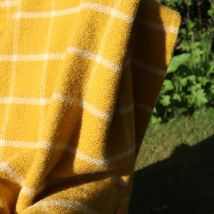 Close up of a yellow and white chequered wool blanket in the sun with a grassy background