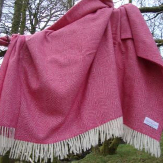 Pink woven herringbone patterned blanket throw with white fringe draped over a tree branch in a natural setting.