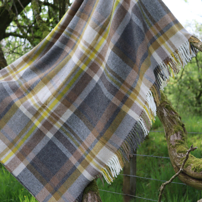 Plaid blanket draped over a branch in a natural setting with greenery.