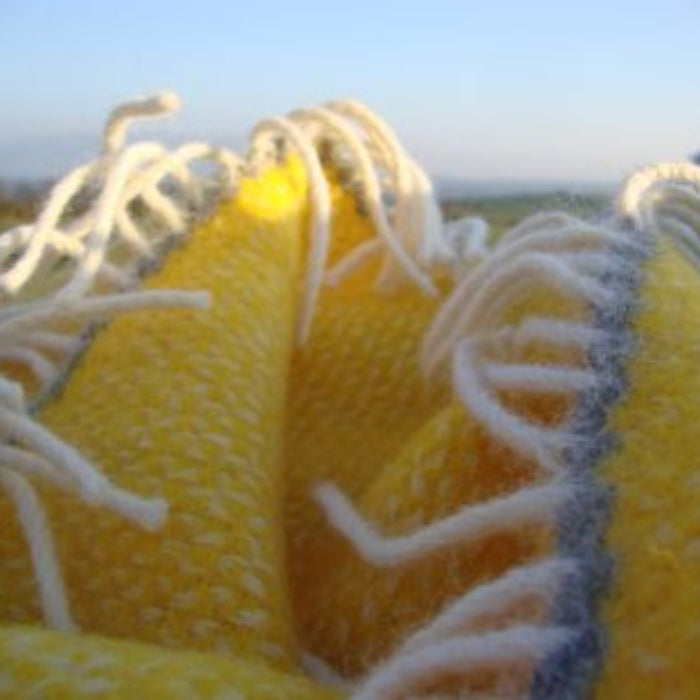 Close up of a yellow and grey wool blanket with white fringe against a blurred natural background