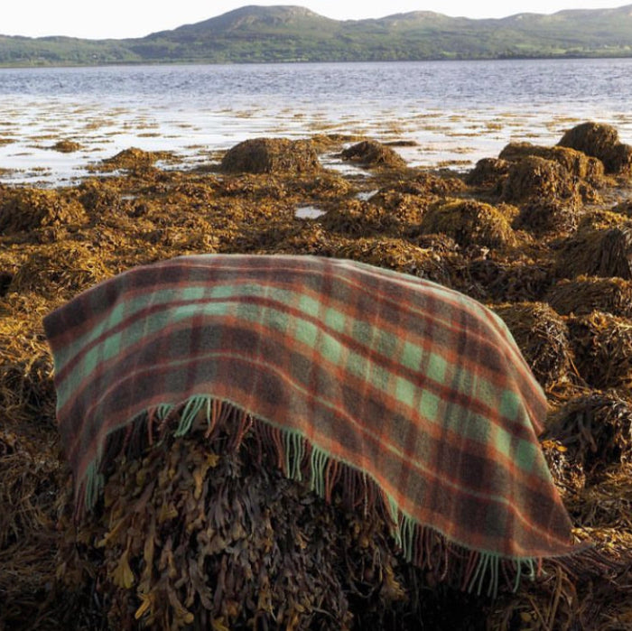 Plaid woolen blanket on seaweed covered rocks with a beach and mountains in the background