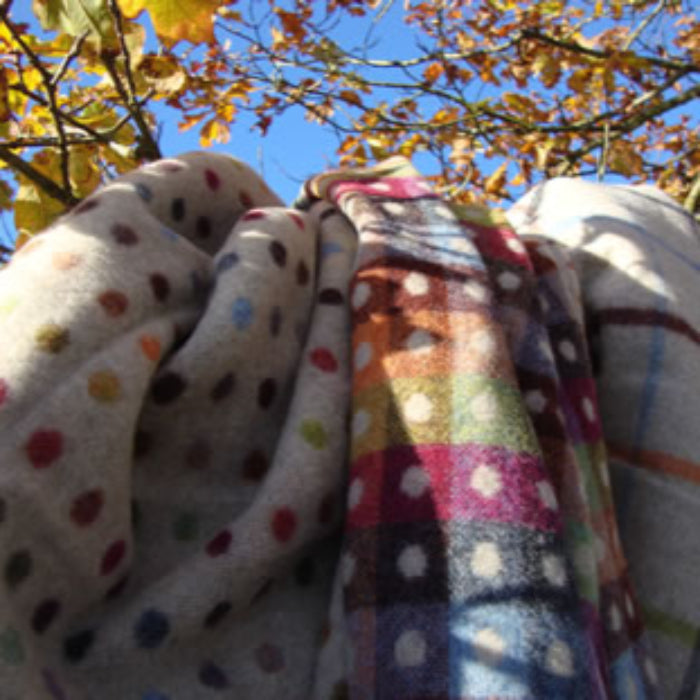Multicoloured polka dot and plaid merino lambs-wool reversible blanket draped over a tree branch with autumn leaves.