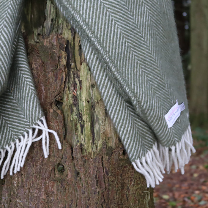 Olive green herringbone style wool blanket draped over a tree trunk in a forest setting