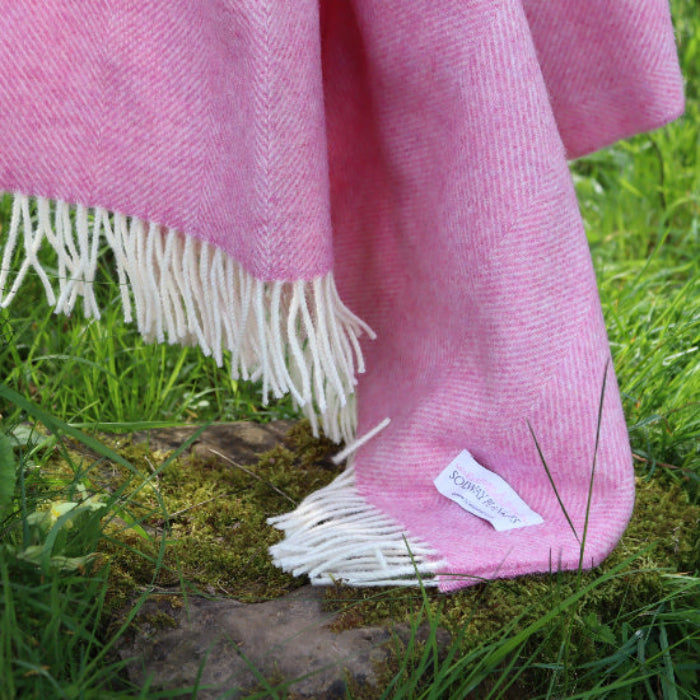 Bright Pink Herringbone Shetland Wool Blanket with white fringe on a grassy surface