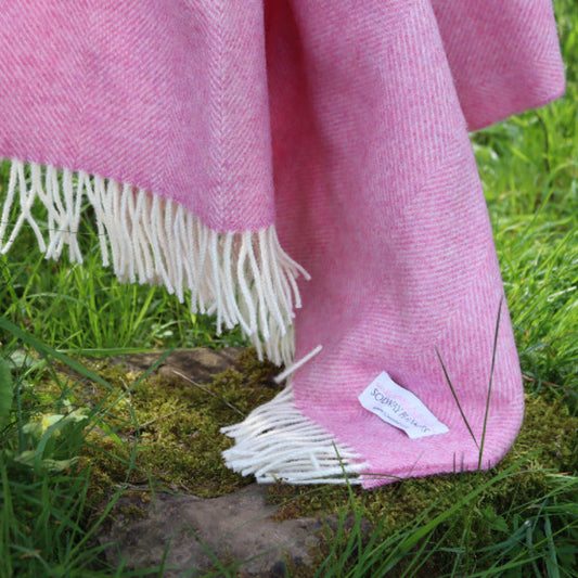 Bright Pink Herringbone Shetland Wool Blanket with white fringe on a grassy surface