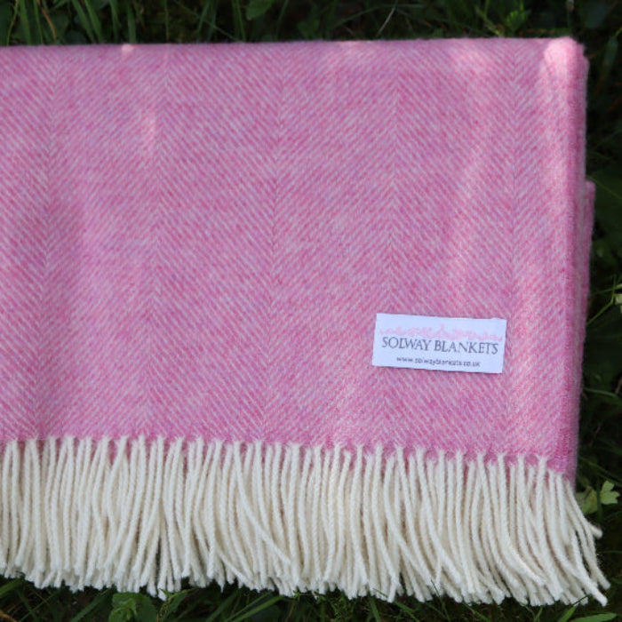 Pale Pink Herringbone Shetland Wool Blanket with white fringe on grass, featuring a Solway Blankets brand label.