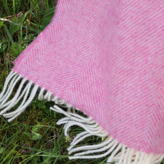 Pale Pink Herringbone Shetland Wool Blanket with white fringe on grass