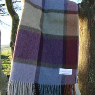 Plaid blanket draped over a tree with a scenic background
