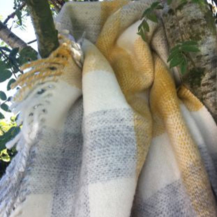 Plaid yellow and grey check wool blanket draped over a tree branch with green leaves in the background