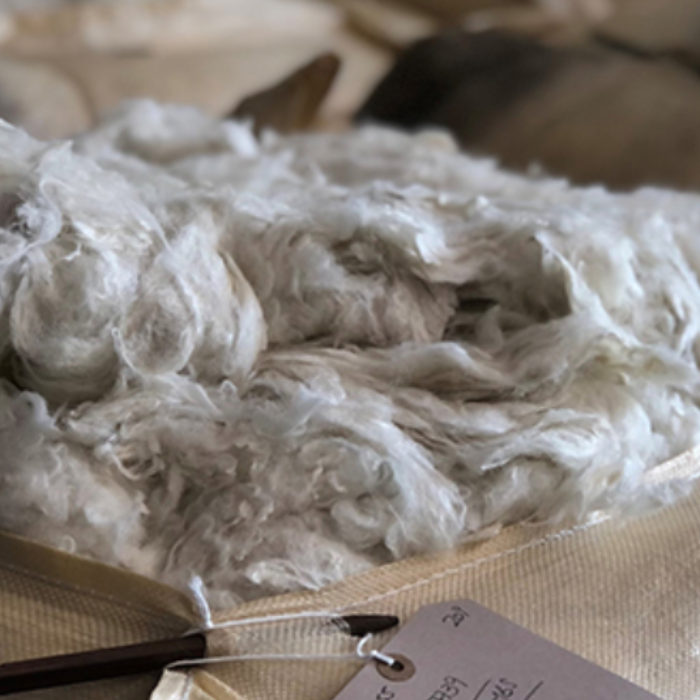 Close-up of white raw wool fibres in a hessian sack with a blurred background. Waiting to be processed for blanket weaving.