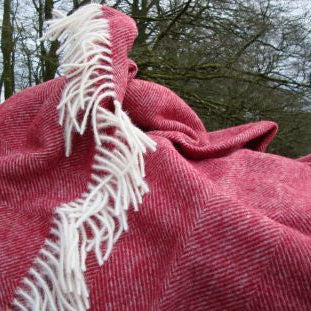 Red Herringbone Shetland Wool Blanket with white fringe against a natural background