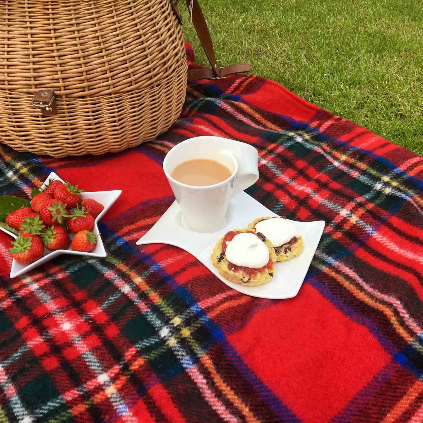 Royal Stewart Tartan Pure New Wool Waterproof Picnic Blanket