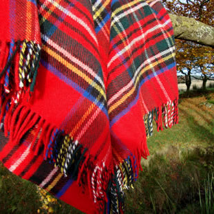 Royal Stewart Red Tartan plaid natural wool blanket with fringe draped over a tree branch in a natural setting.