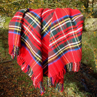 Red Royal Stewart Tartan Pure Wool plaid blanket draped over a tree branch in a forest setting
