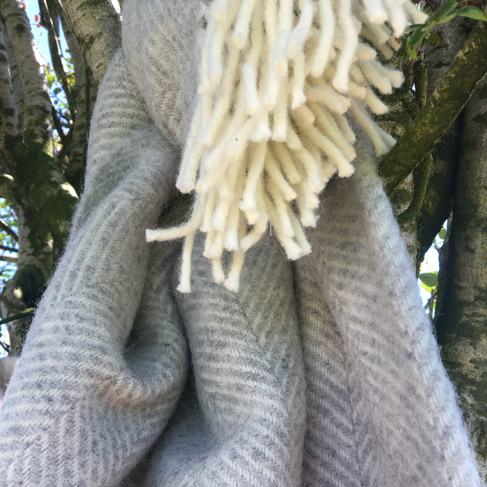 Silver grey herringbone wool blanket with fringe draped over a tree branch