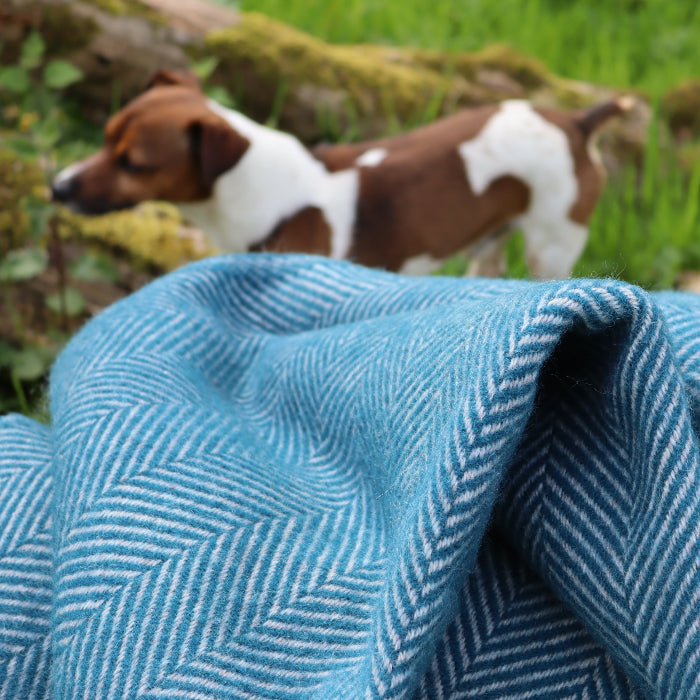 Teal blue herringbone blanket placed over a wooden log in a forestry setting, with a dog in the background