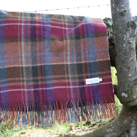 Woodburn Check Pure New Wool Blanket 03